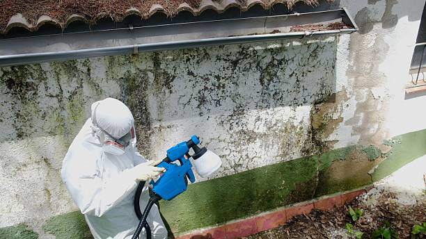 Trusted Crawl Space Mold Removal service in Clinton, WA - Cheap Mold Removal